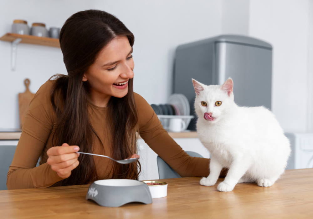 Transición de Alimento para mascotas: Consejos para evitar malestarles.
