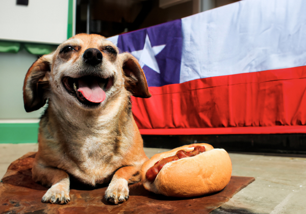 ¿Cómo celebrar las Fiestas Patrias con tu mascota de forma segura?