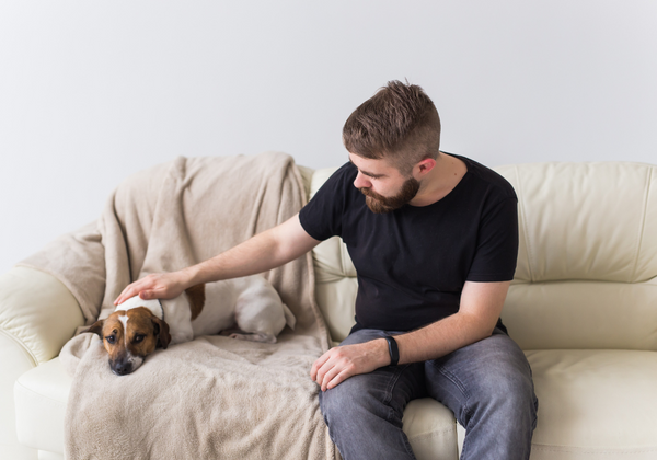 Problemas digestivos en mascotas. Causas, síntomas y prevención.