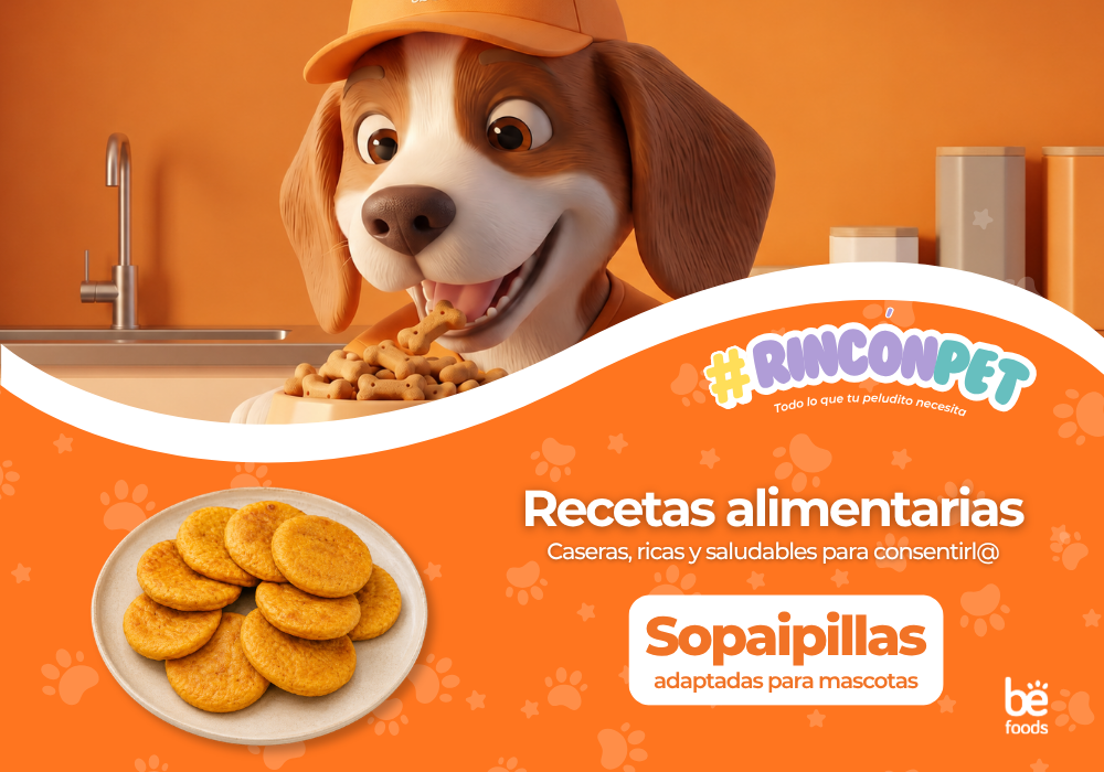 Recetas para perros y gatos: Galletas y Bocaditos