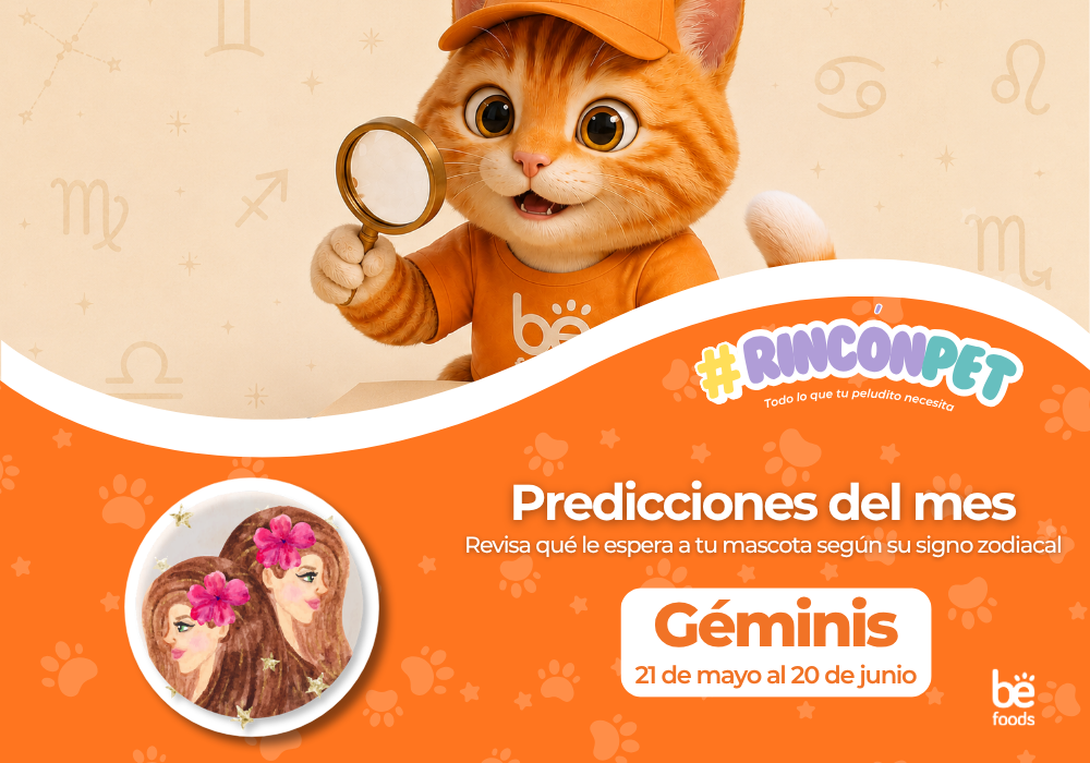 Predicciones del mes: Géminis