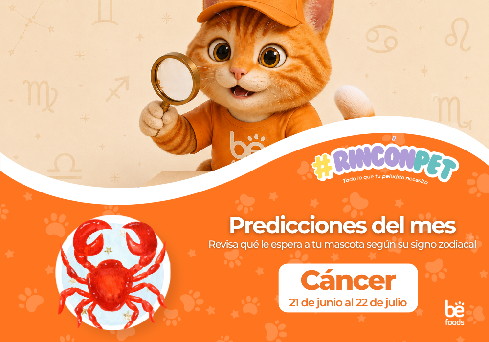 Predicciones del mes: Cáncer