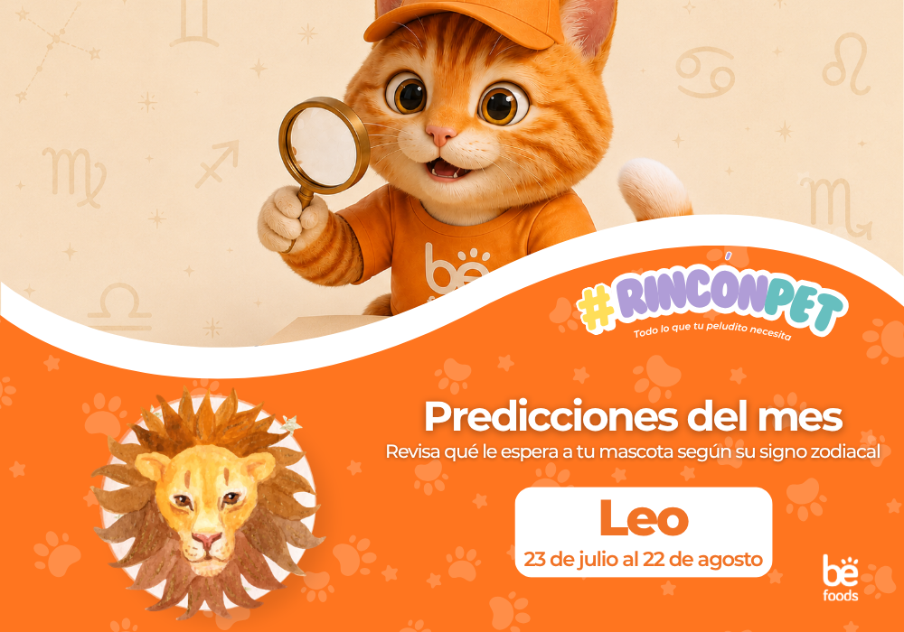Predicciones del mes: Leo