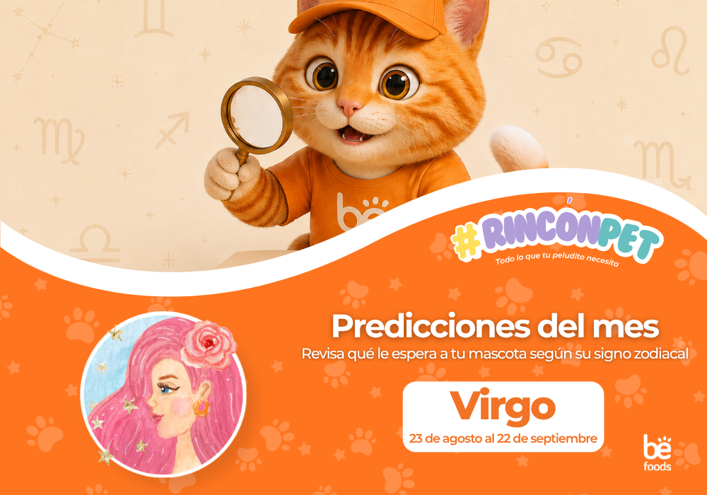 Predicciones del mes: Virgo
