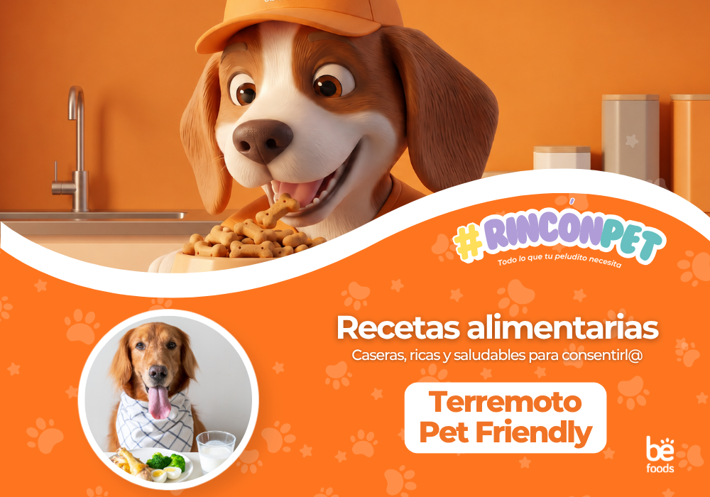 Recetas para perro y gatos: Terremoto versión Pet Friendly