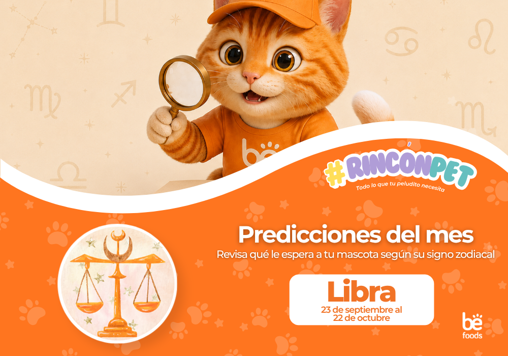 Predicciones del mes: Libra