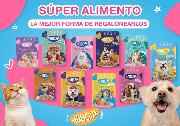 ¿Cómo demostrarle a tu mascota que lo amas? Producto perfecto para cada uno