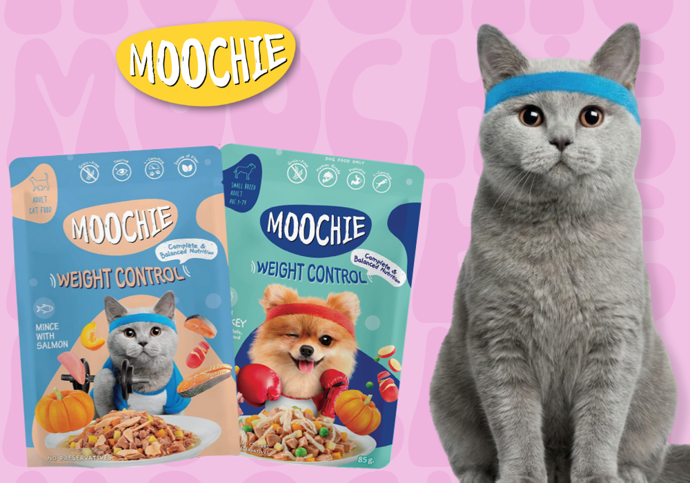 ¿Tu perro o gato está subiendo de peso? Conoce Moochie Weight Control y cómo ayuda a mantenerlos saludables