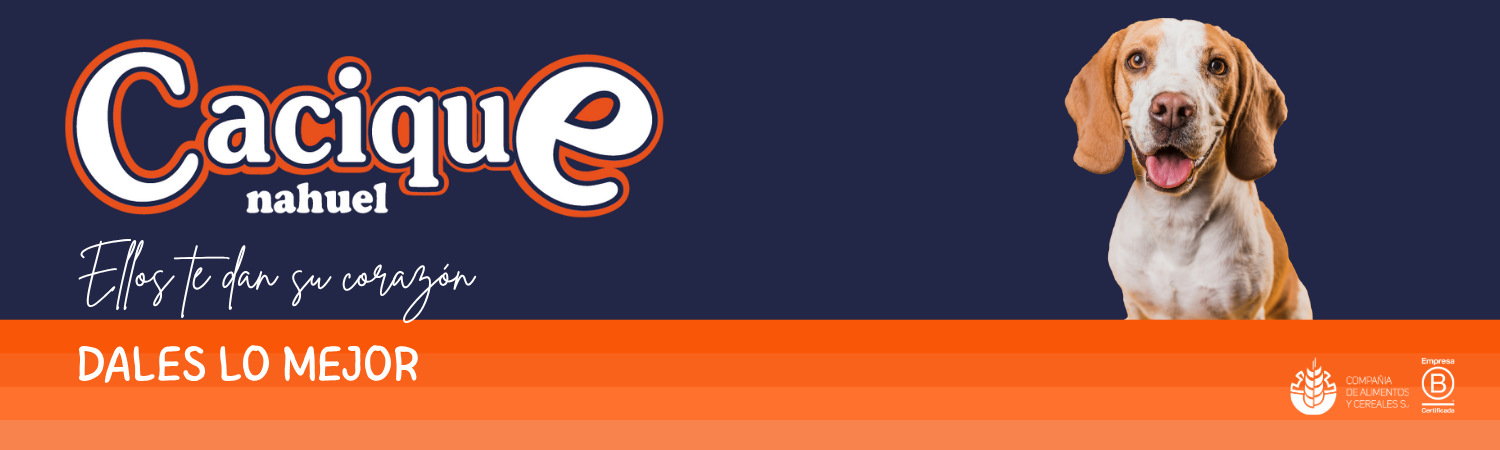 Cacique