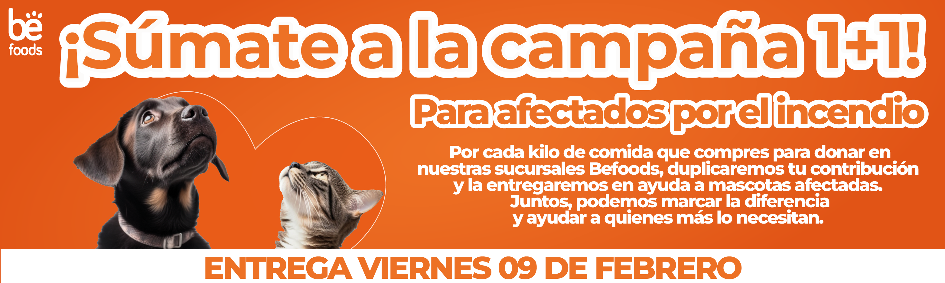 Campaña 1+1