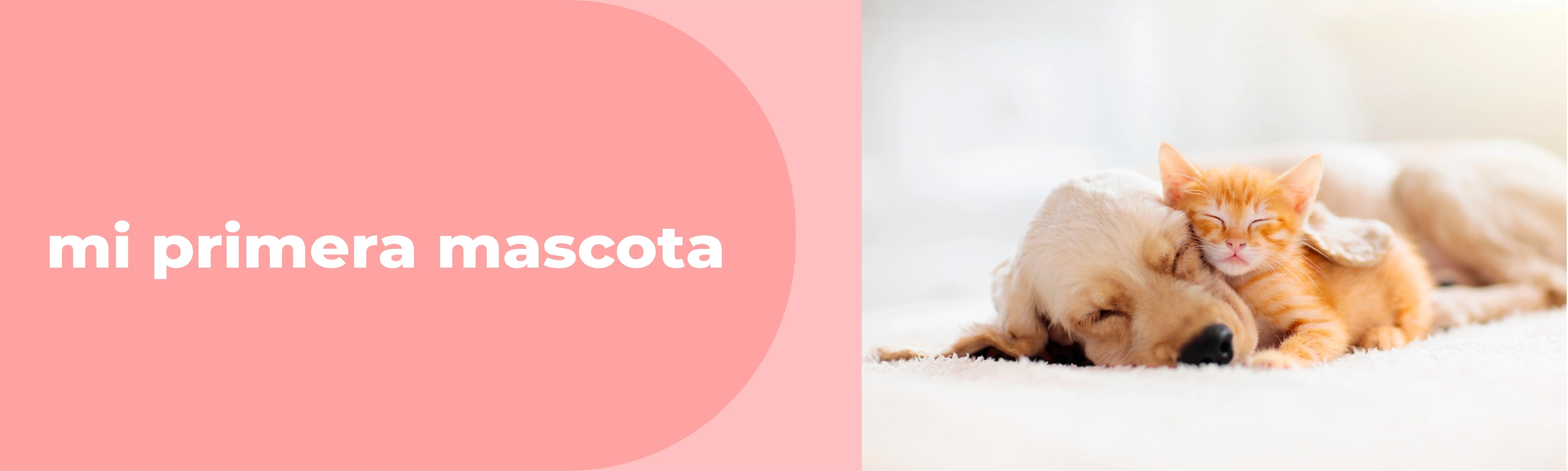 Accesorios Hogar Mi Primera Mascota