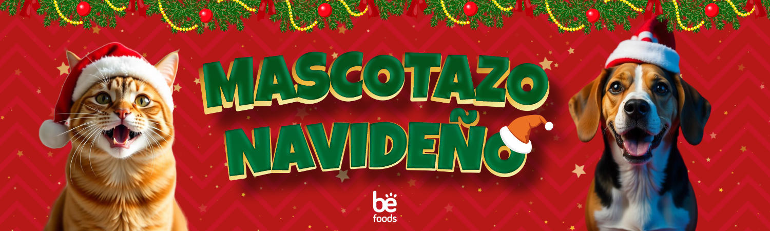 BENAVIDAD 2024