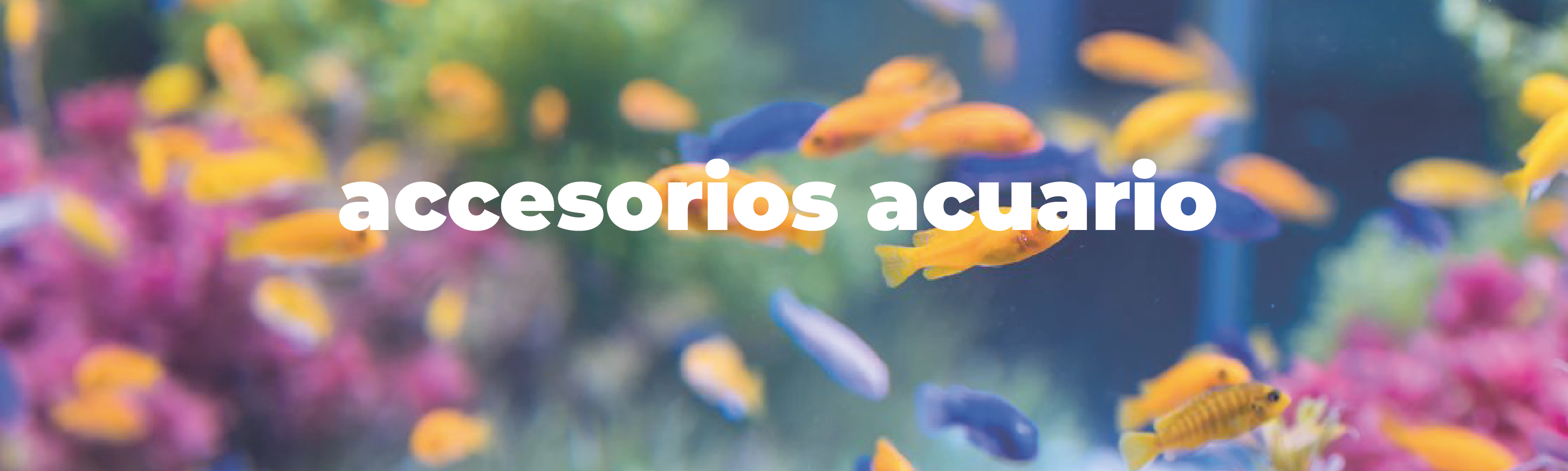 Acuarios y peceras