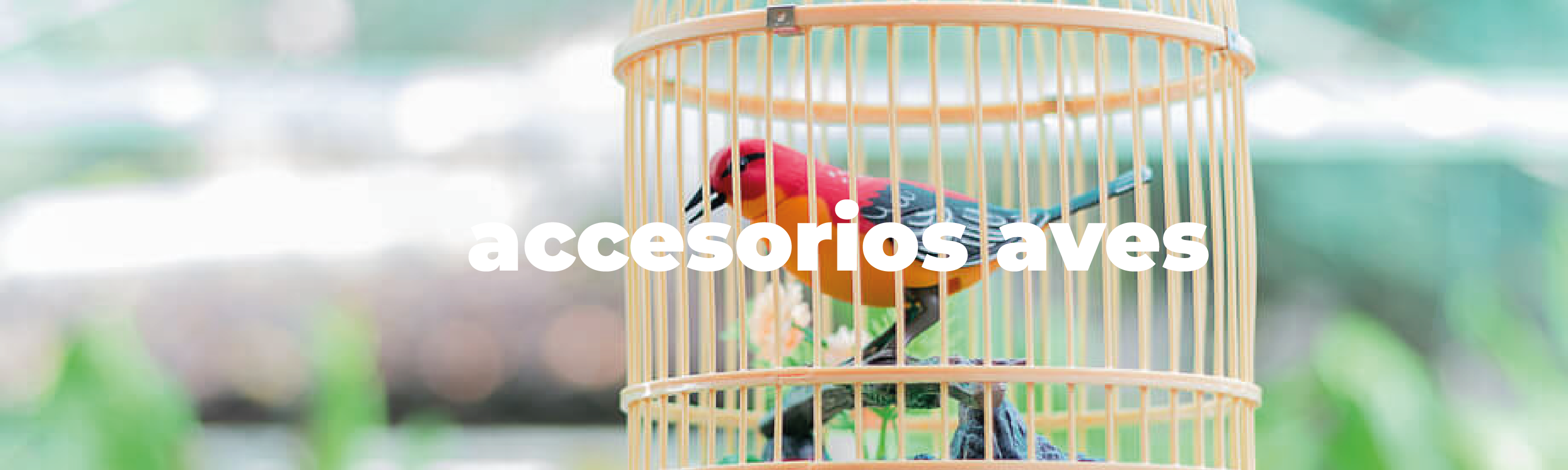 Accesorios Aves