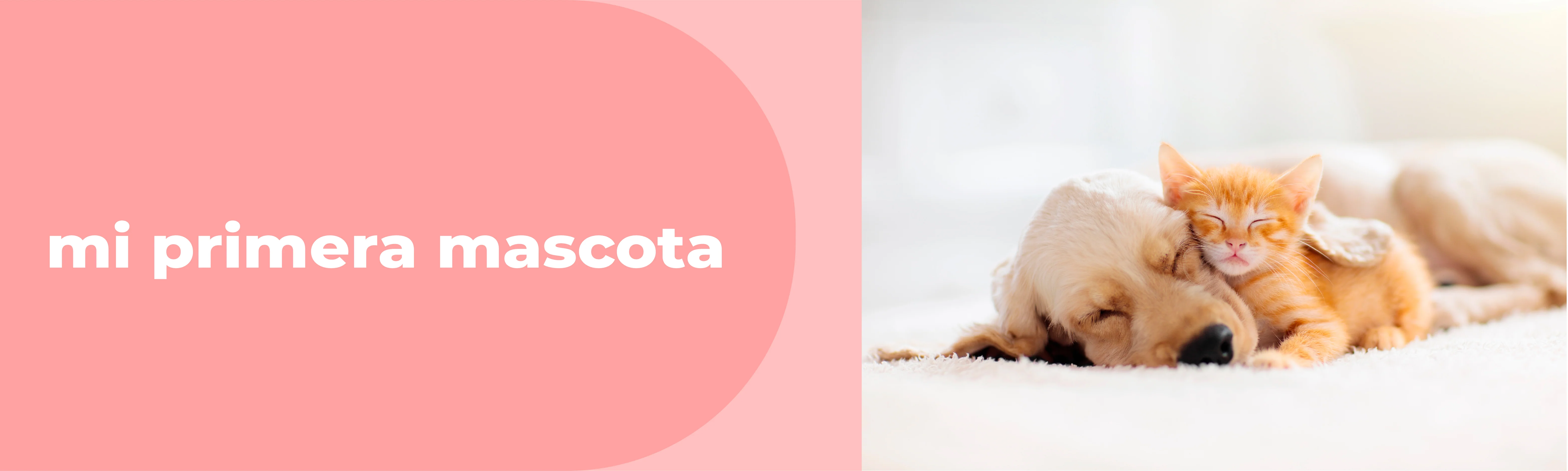 Alimentos Mi Primera Mascota
