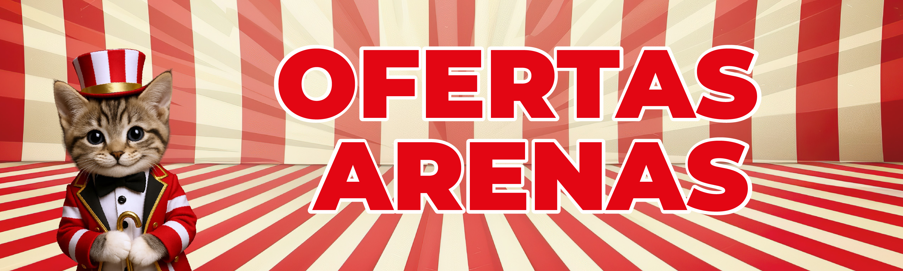 Arenas Cyber
