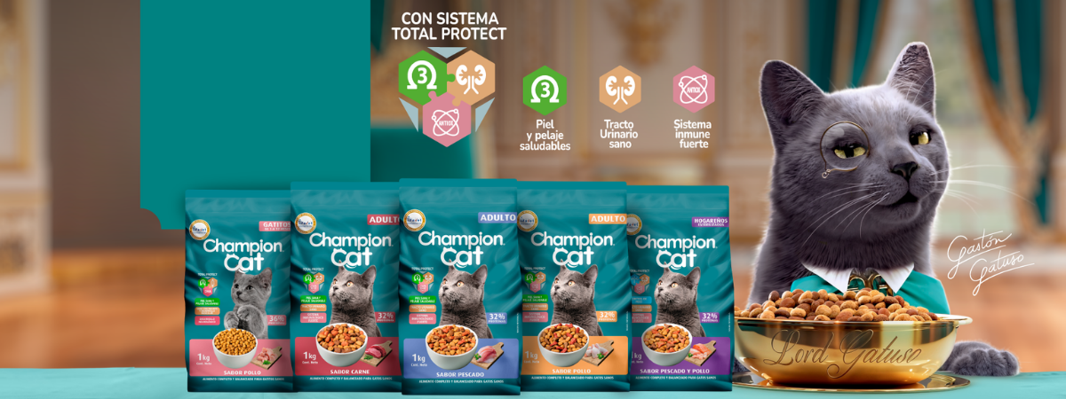 champion cat