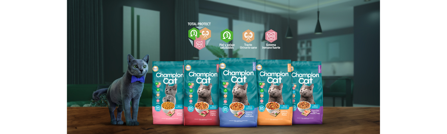 champion cat