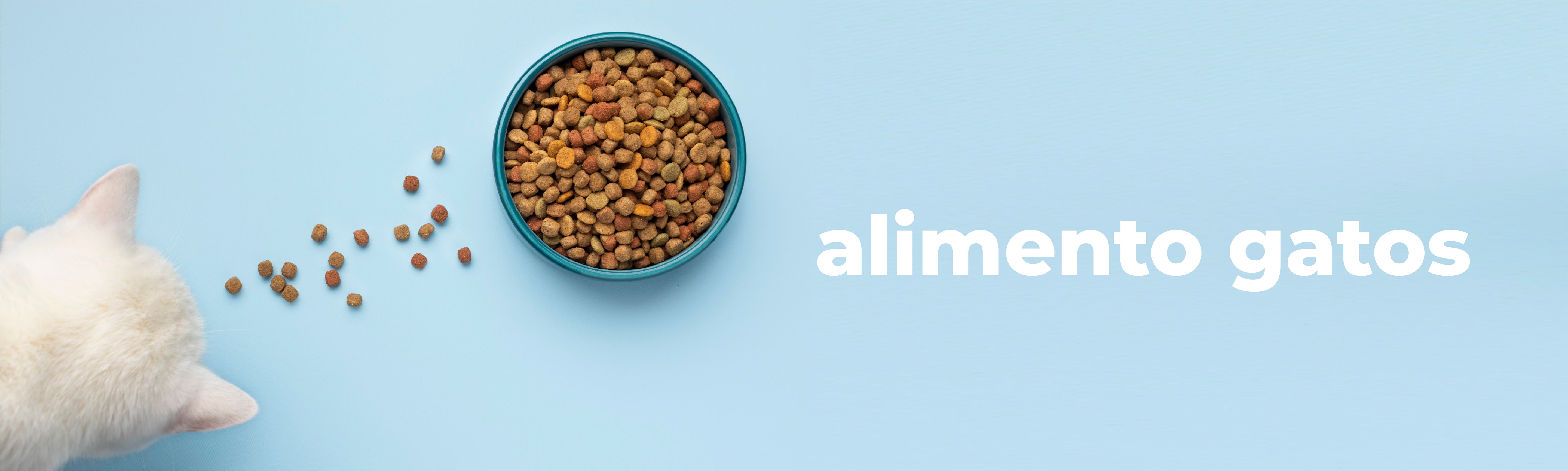 Alimento Premium Gatos
