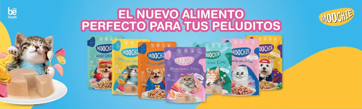 MOOCHIE ALIMENTO HÚMEDO