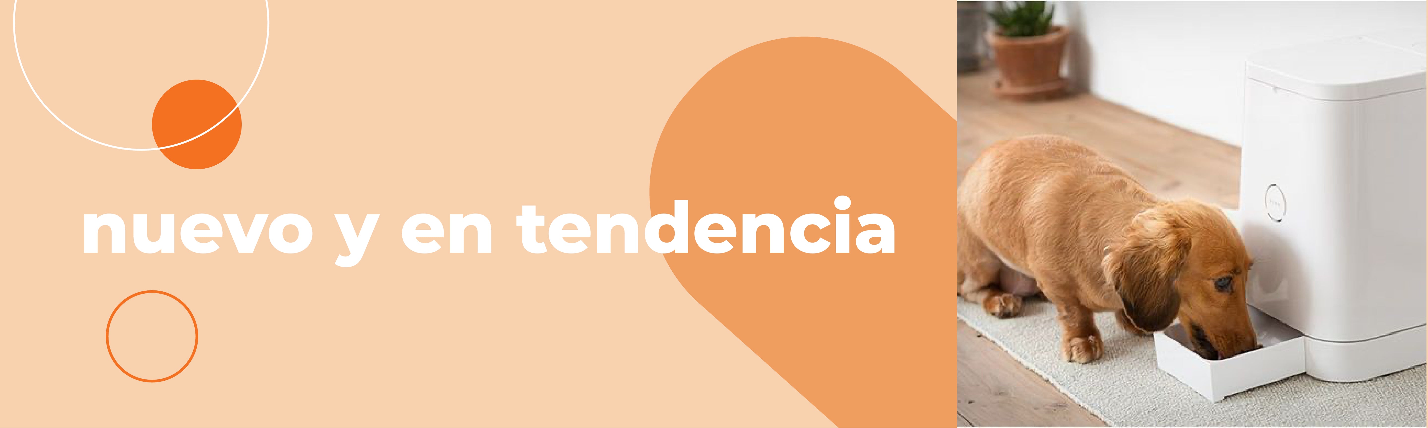 Nuevo y en tendencia