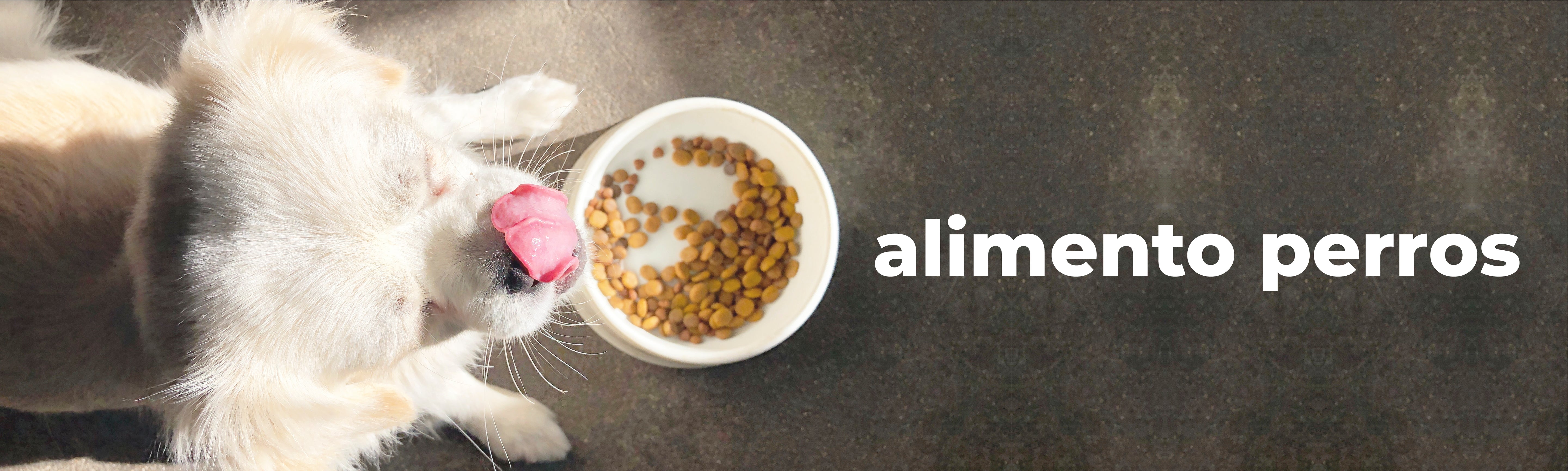 Alimento Seco Perros