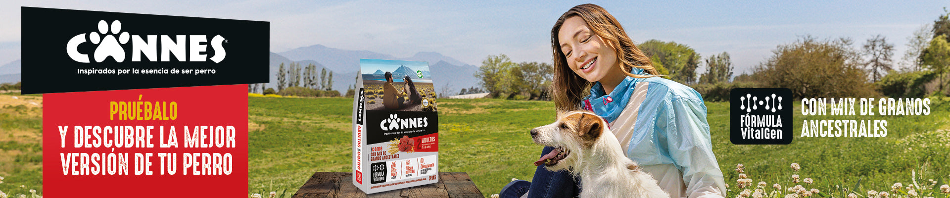 Cannes|Felinnes