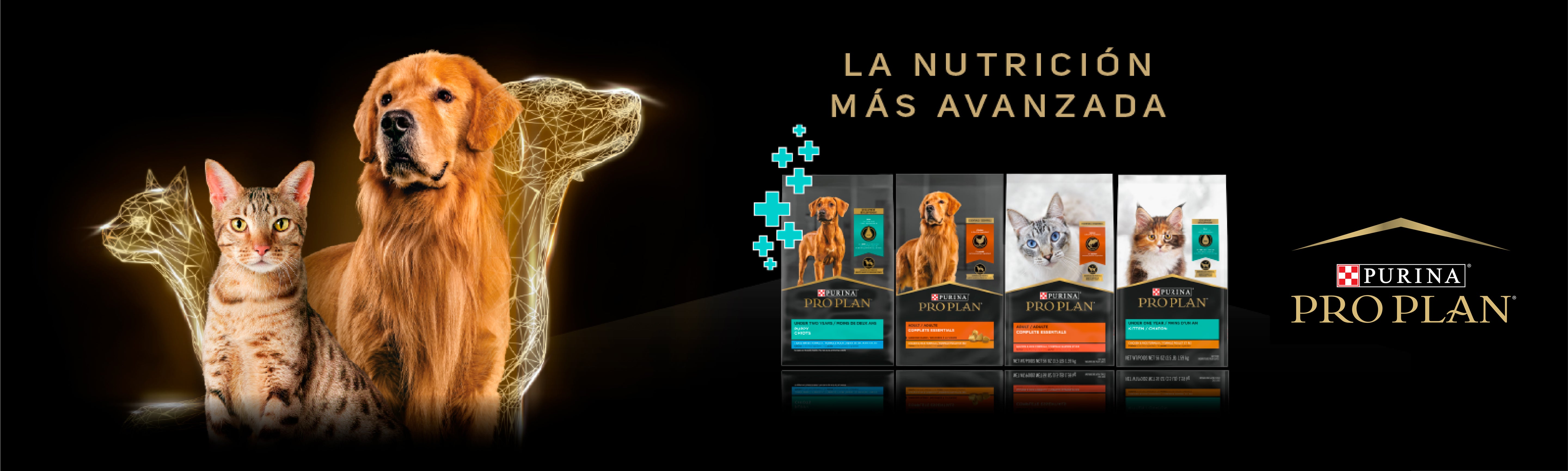 Proplan
