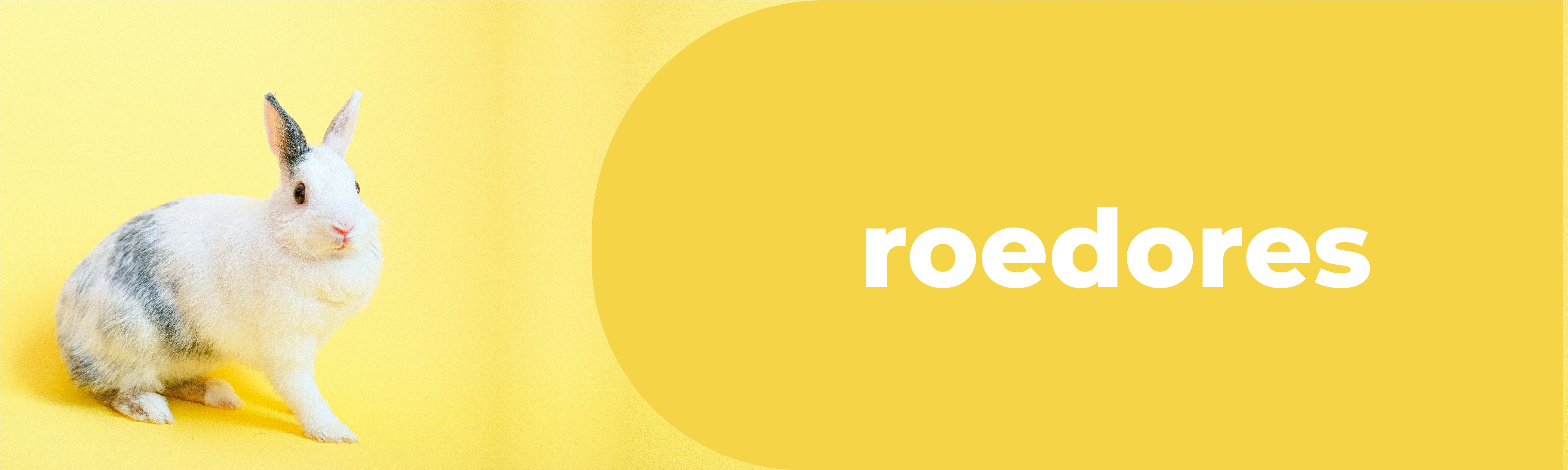 Roedores