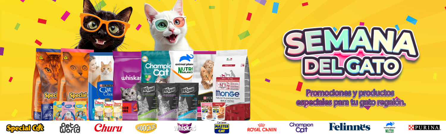 Semana del Gato 🐾😻