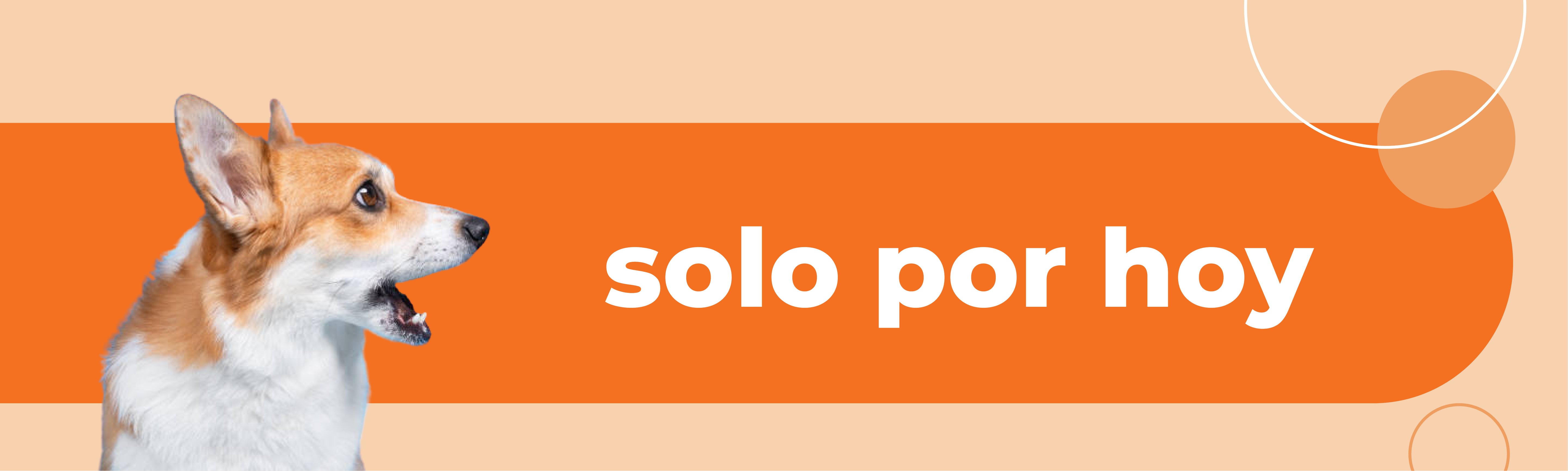 Solo por hoy