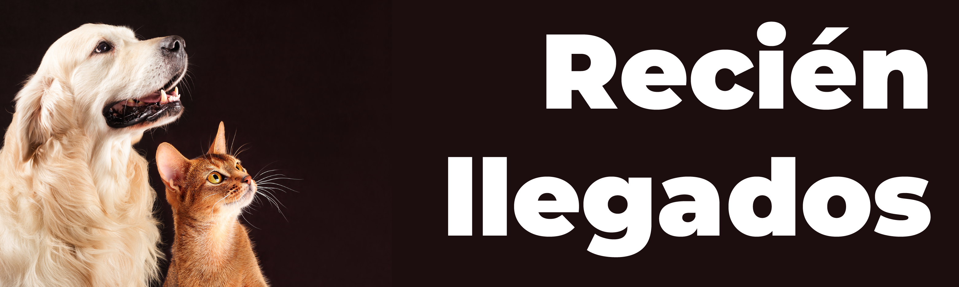 RECIEN LLEGADOS