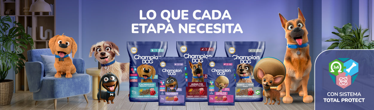 Champion dog