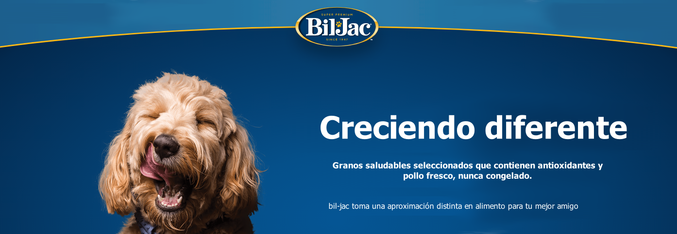 Bil Jac