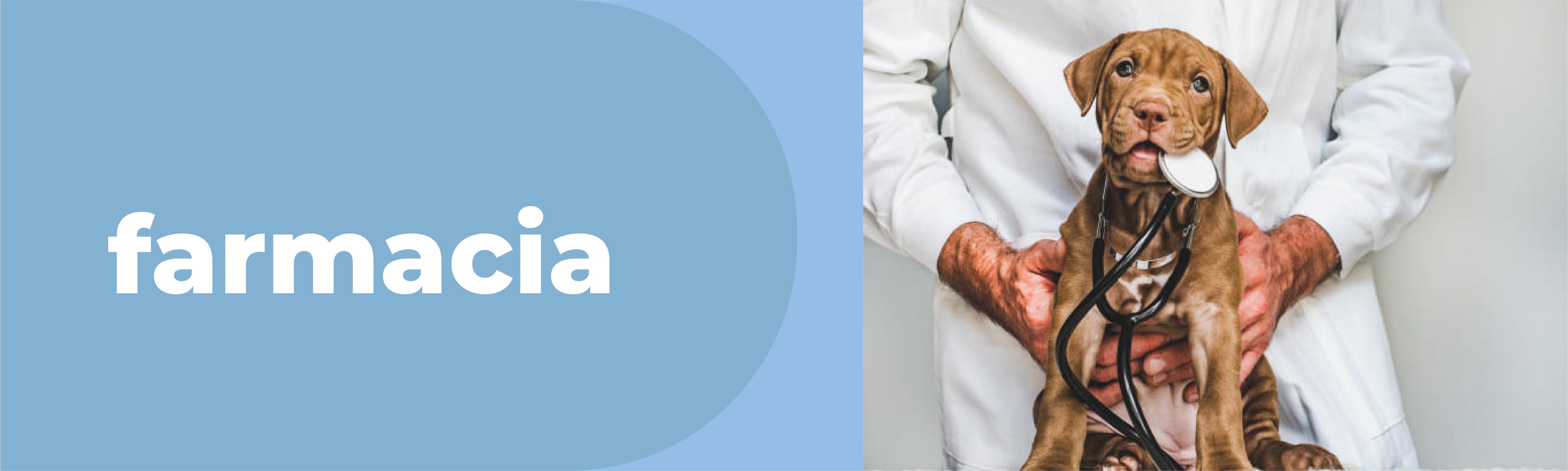 Farmacia