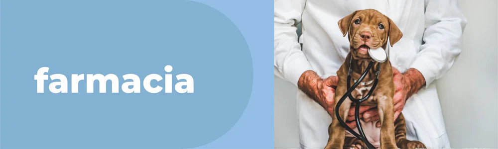 Farmacia