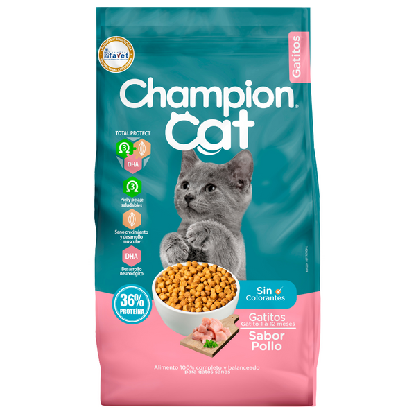 CHAMPION CAT GATITOS