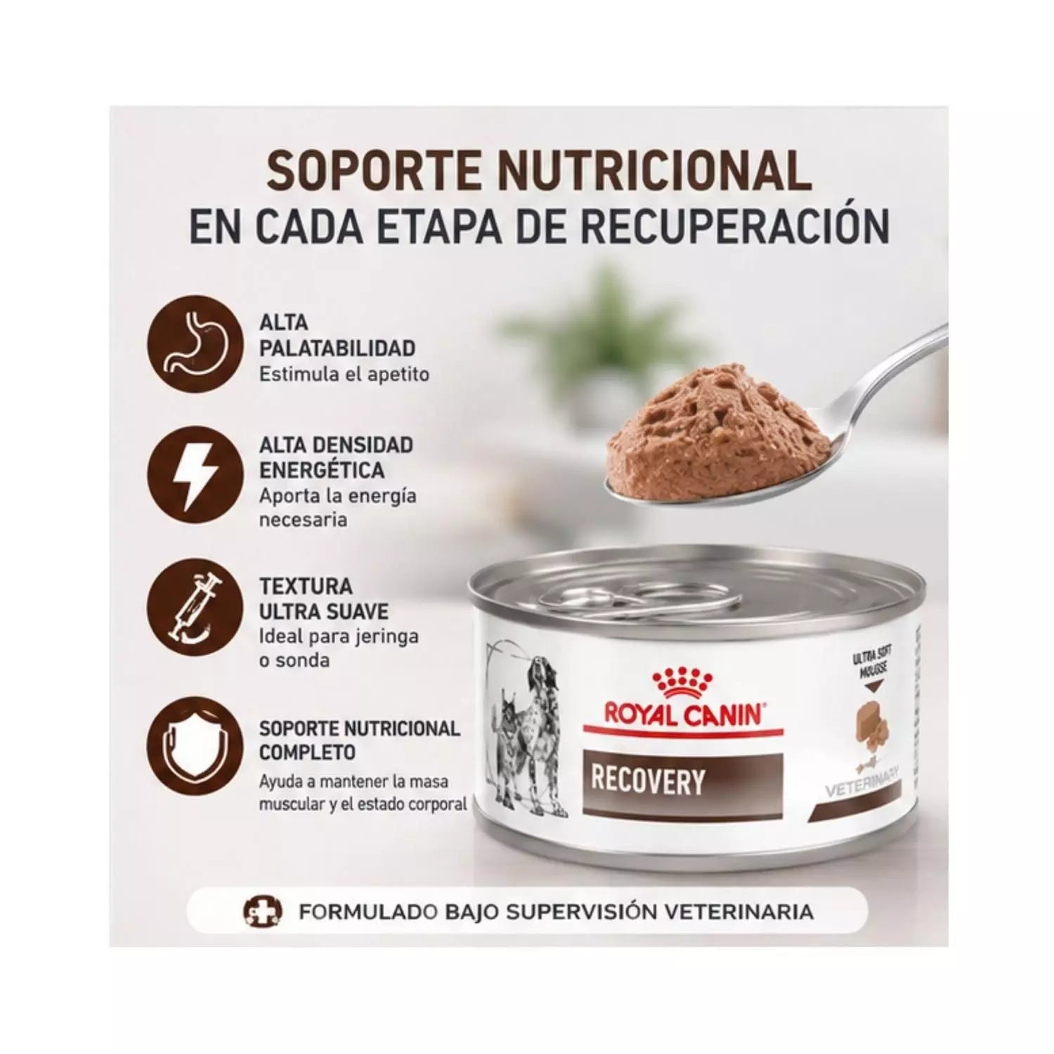 LATA ROYAL CANIN RECOVERY PERRO Y GATO 145GR
