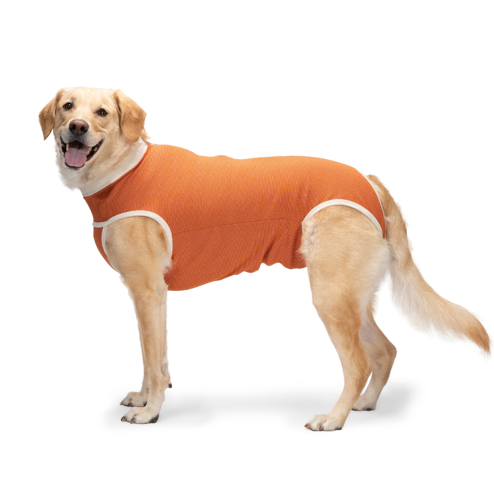 BODY COBRE TRADICIONAL PERRO Y GATO TALLA 7 | 13 A 17 KG