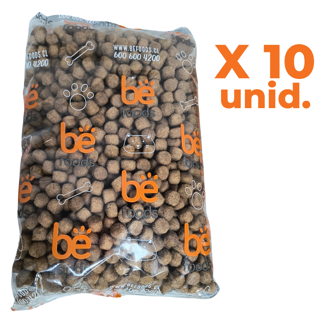 PACK SPECIAL DOG ADULTO CARNE 1KG X10 UNIDADES