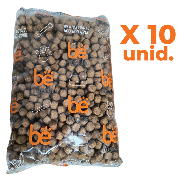 PACK SPECIAL DOG ADULTO CARNE 1KG X10 UNIDADES