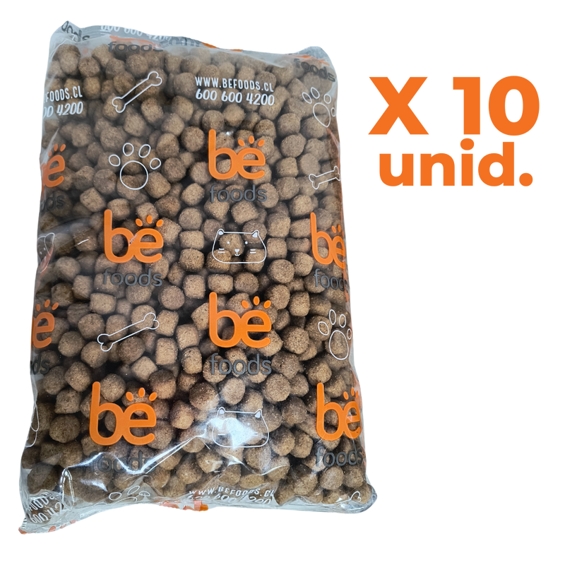 PACK SPECIAL DOG ADULTO CARNE 1KG X10 UNIDADES