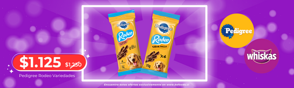 PACK GALLETAS CANNES SABOR LECHE 2X$3.500