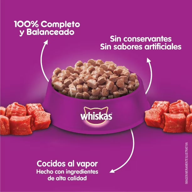 WHISKAS SOBRE GATITO CARNE 85GR