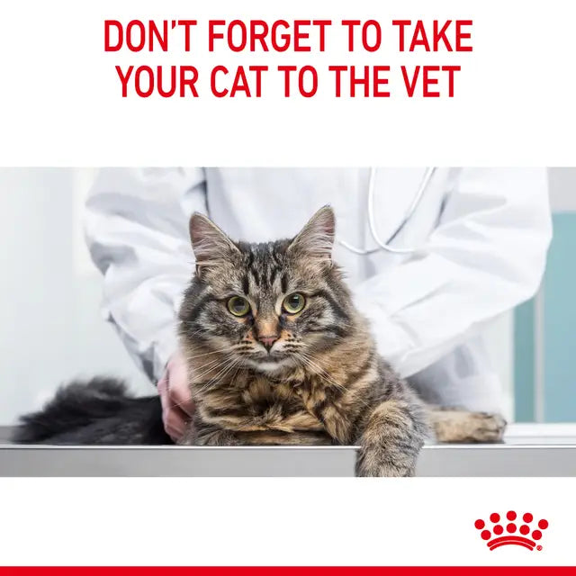 ROYAL CANIN SOBRE URINARY CARE FELINE 85GR
