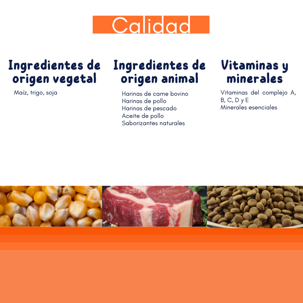 CACIQUE ALIMENTO PARA PERRO ADULTO RAZAS PEQUEÑAS 20KG