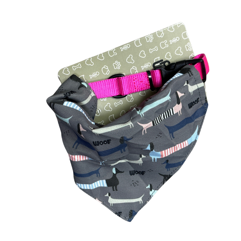 BANDANA DISENOS TALLA S (M8004)