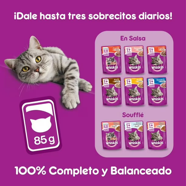 WHISKAS SOBRE GATITO CARNE 85GR
