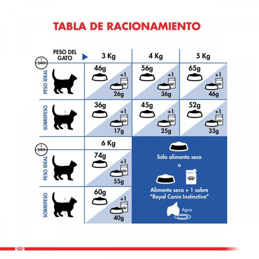 ROYAL CANIN CAT ADULTO INDOOR 400GR