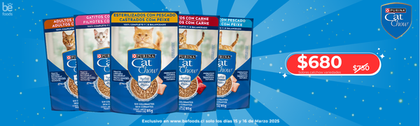 PACK CHAMPION CAT SOBRE CARNE 3X$1100